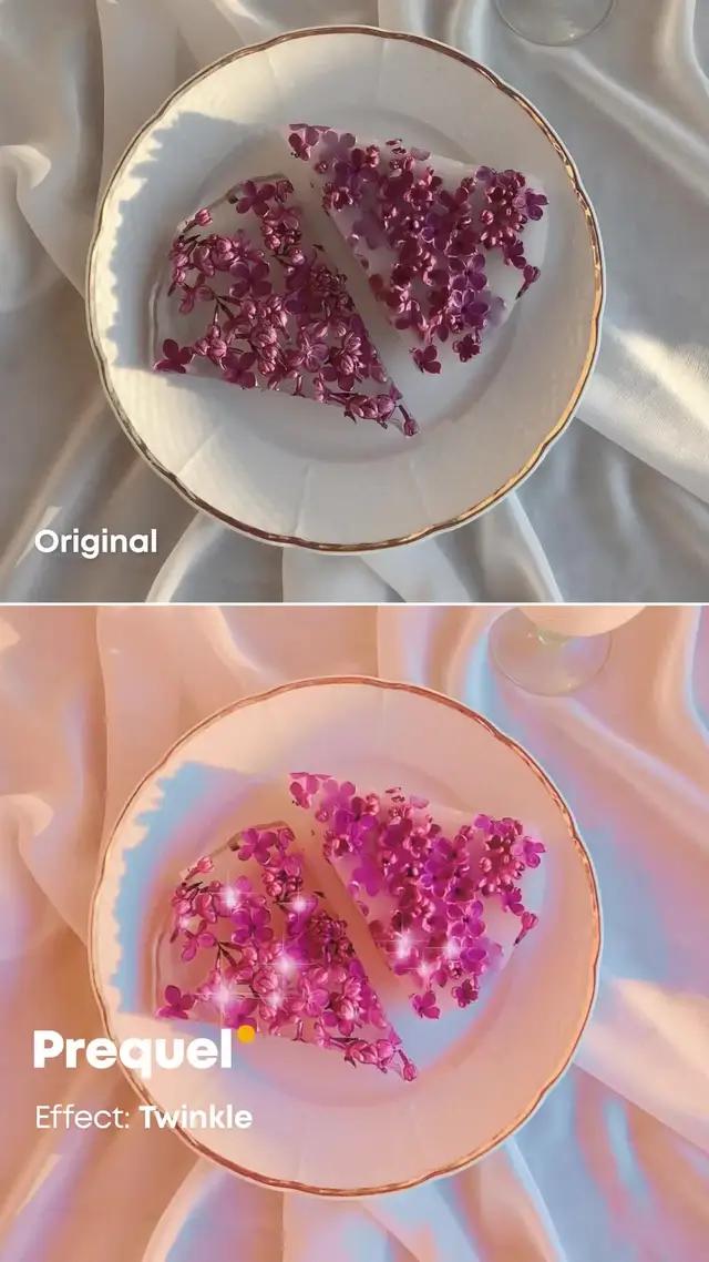 The secret is Prequel app