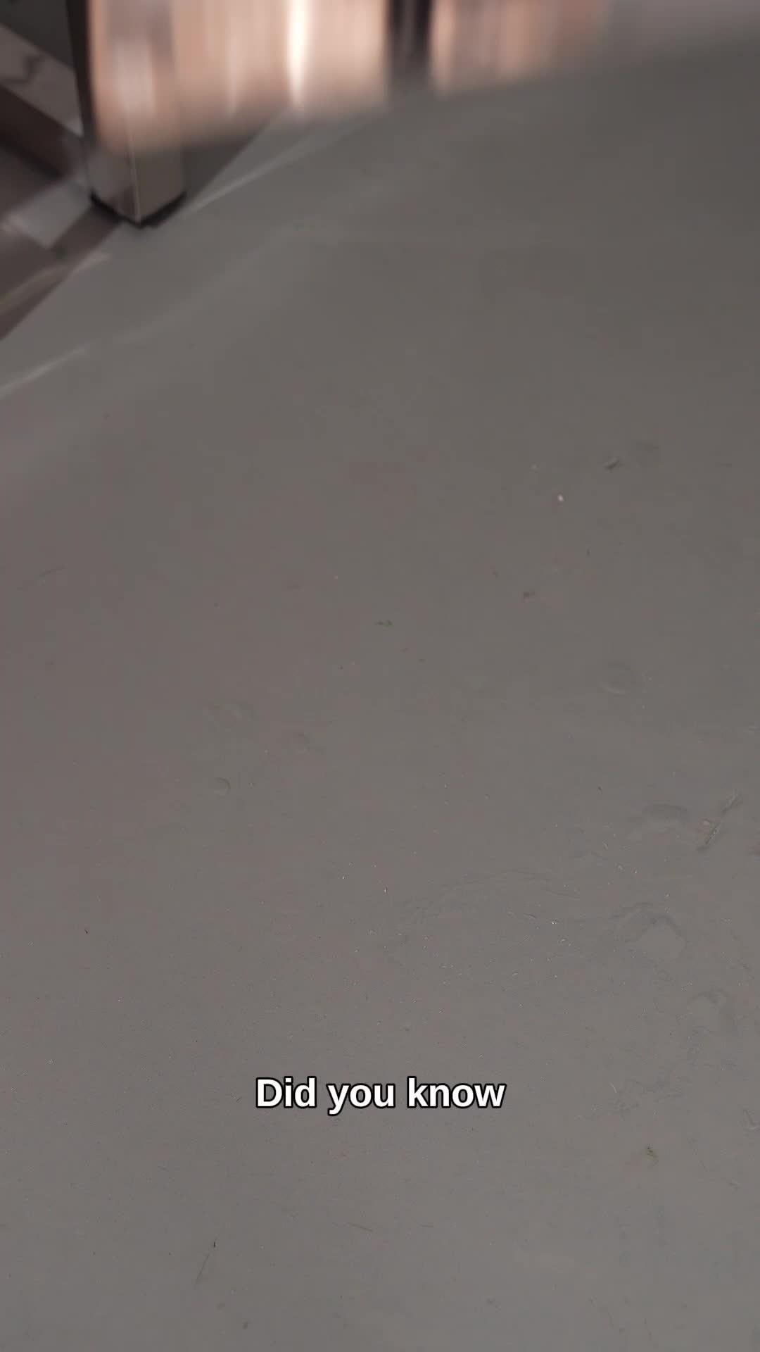 TEMU must-haves for you! Ready to make heads turn? Shop now and let your swagger speak for itself! #temufinds #temuhaul #saving #MensFashion