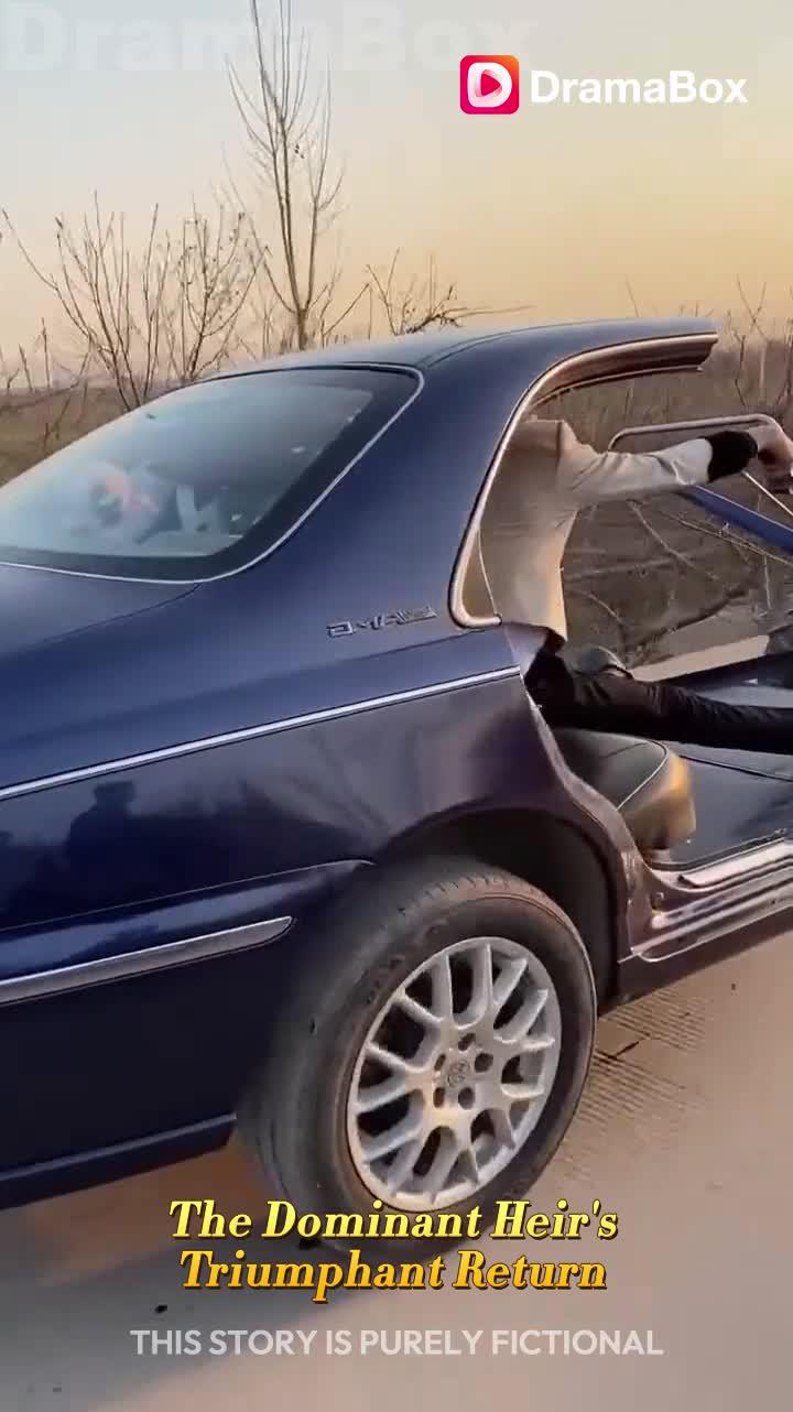 The Dominant Heir's Triumphant Return（DUBBED）