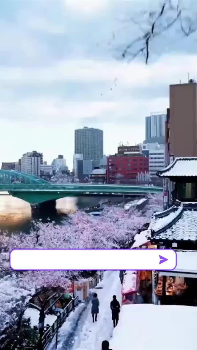 Monet Powered by Sora - AI Video Generator