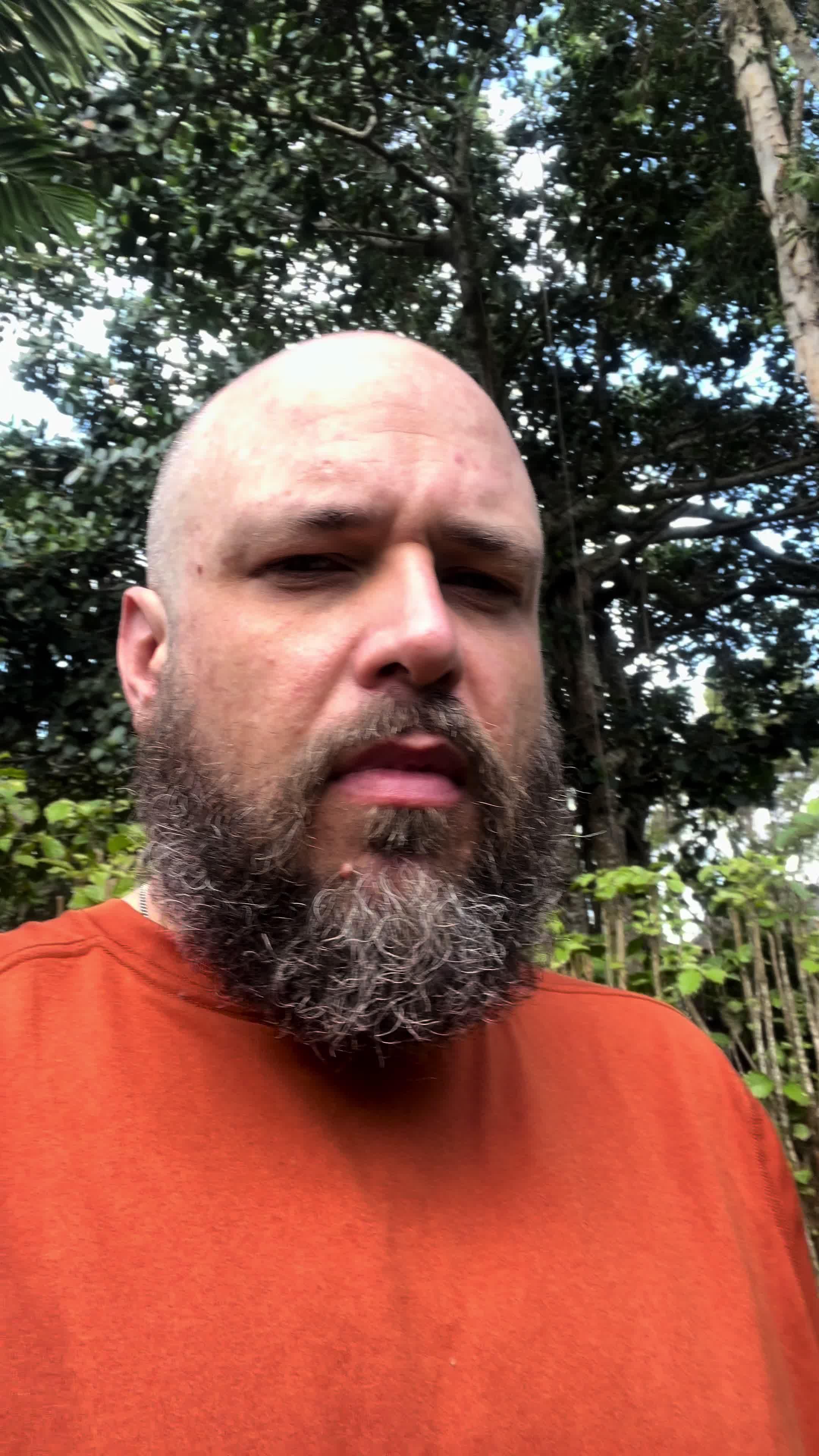 Transform your phone with our massive collection!