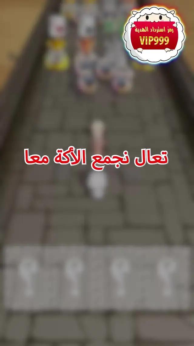 عروض حصرية لدى مداقش فقط في عيد الأضحى