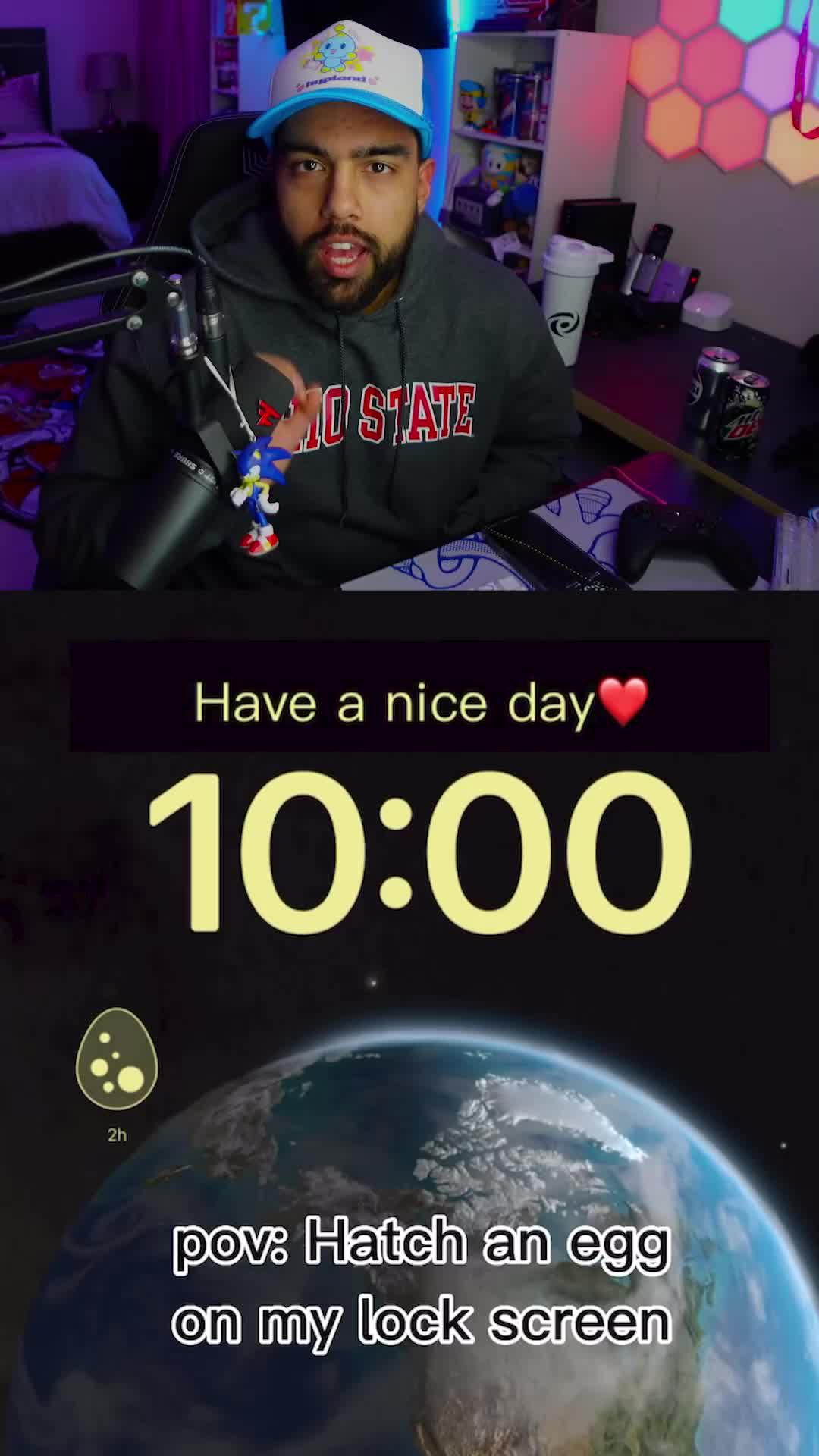 Raise a pet on your phone