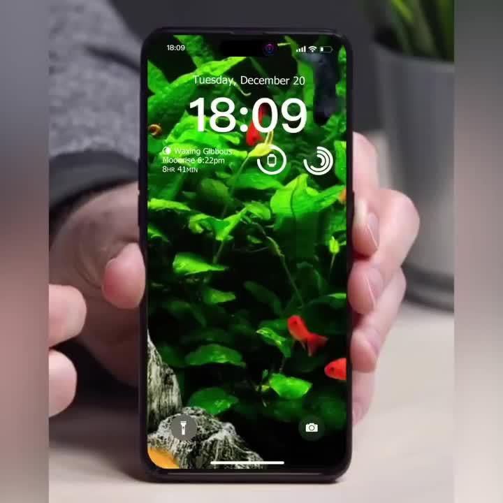 2024 New trends! 100% Free app!