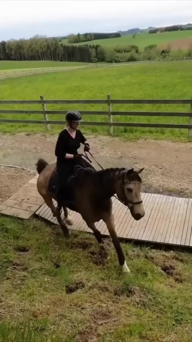 Hold on tight for an adrenaline-pumping ride in Rodeo Stampede!