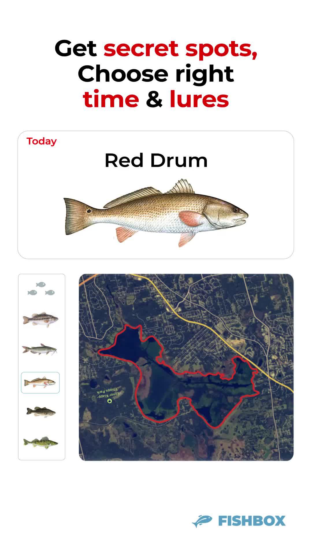 Find the best fishing spot with real-time mapping and expert tips