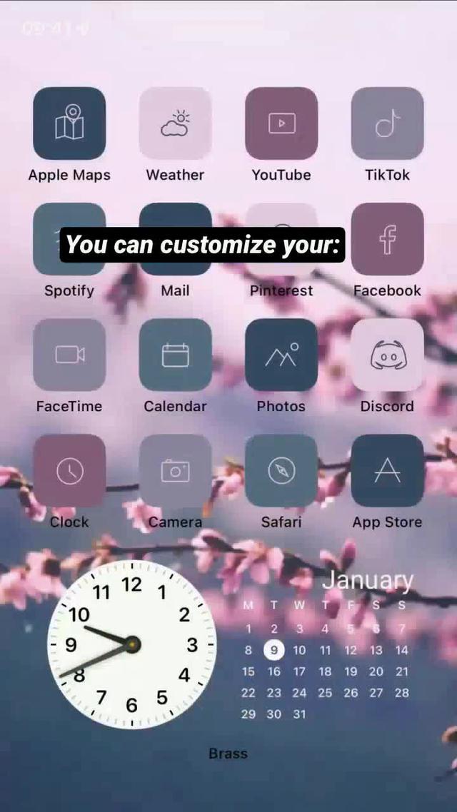 Custom iOS Home Screen