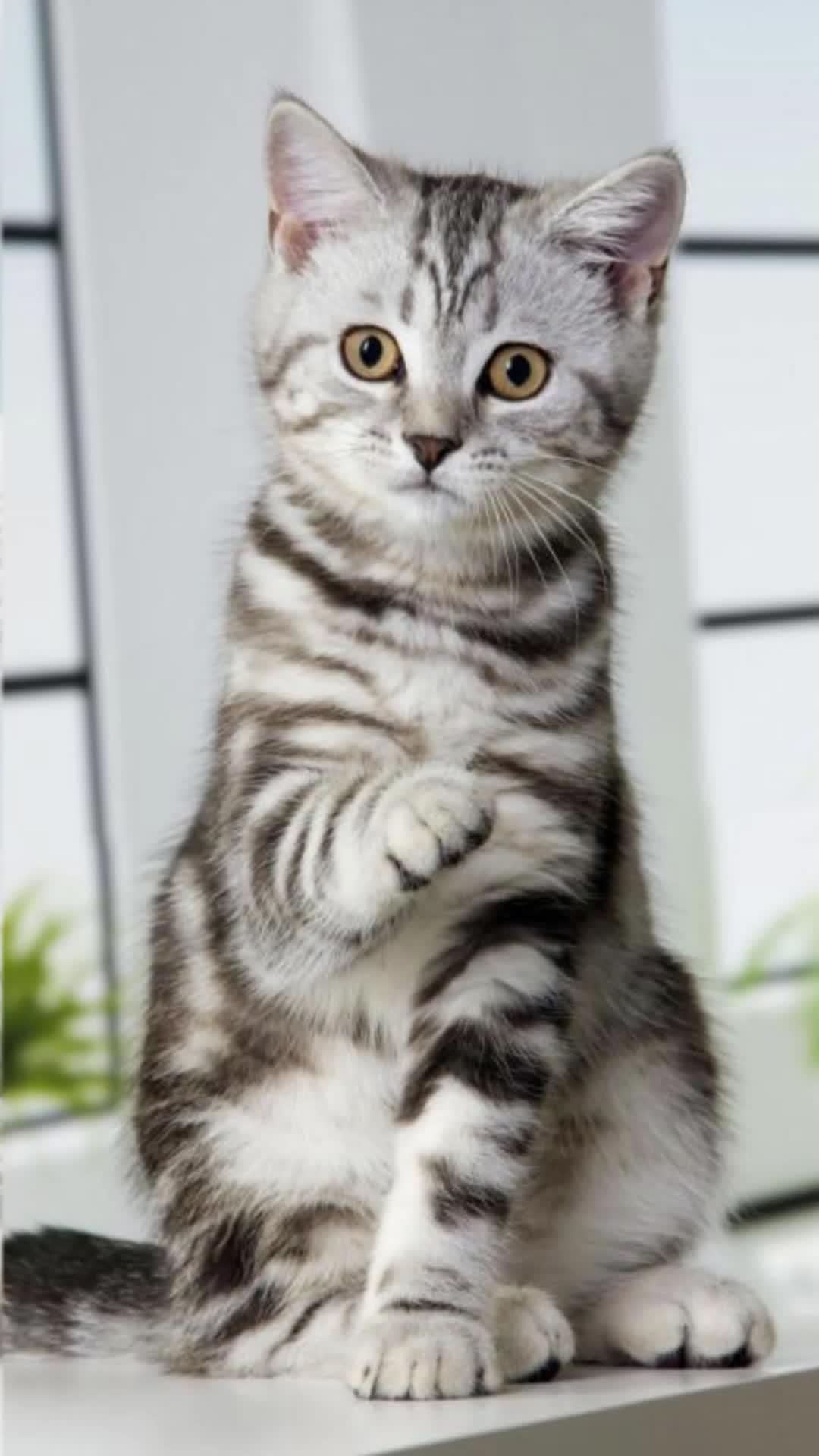 Make movie post for them