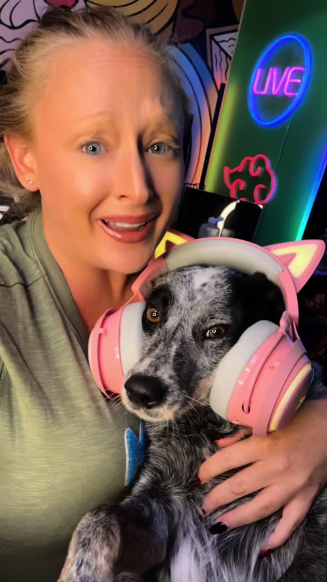 Meow-velous winter, cozy up with cats!