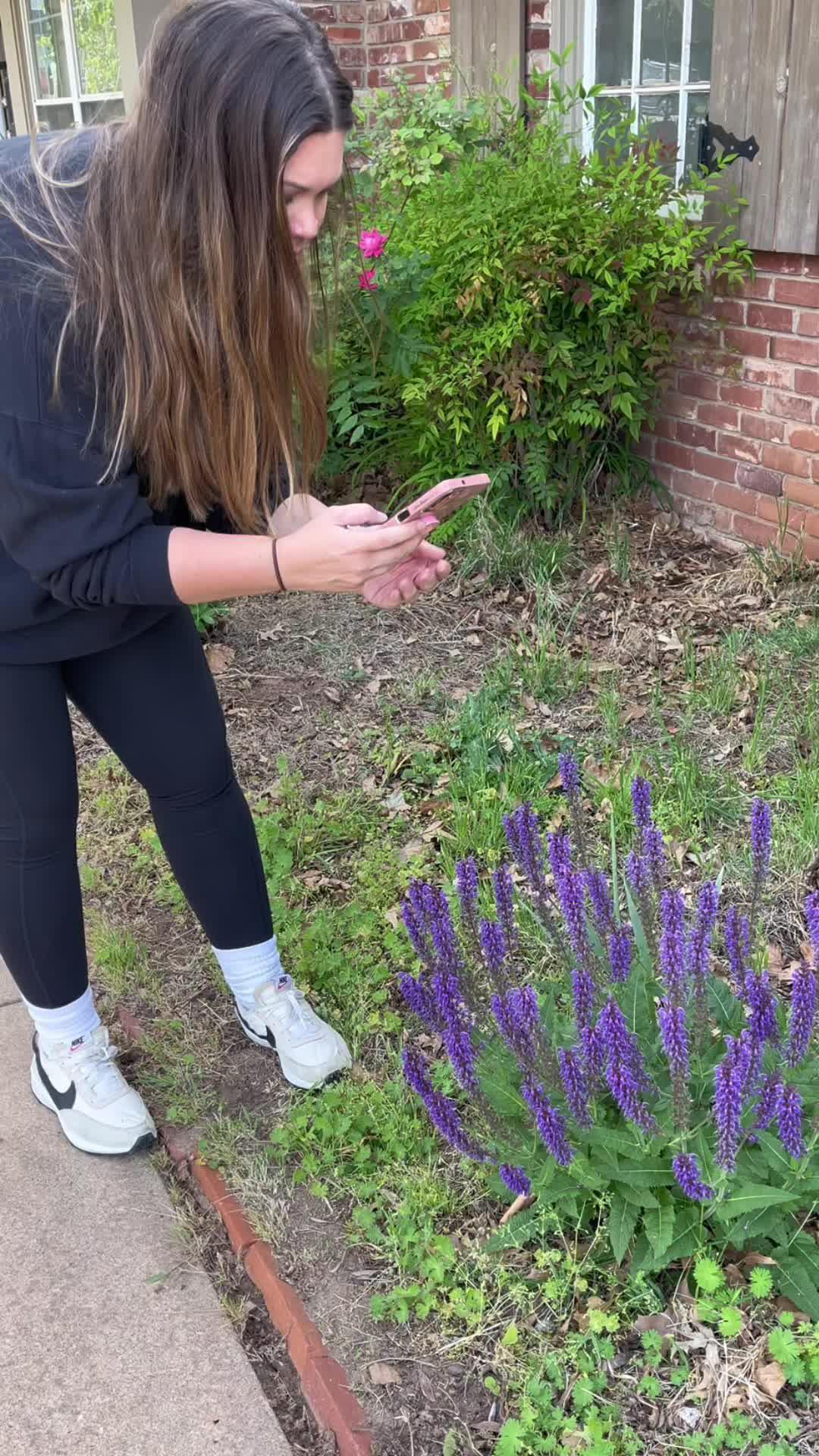 Identify any plant & diagnose plant diseases instantly!