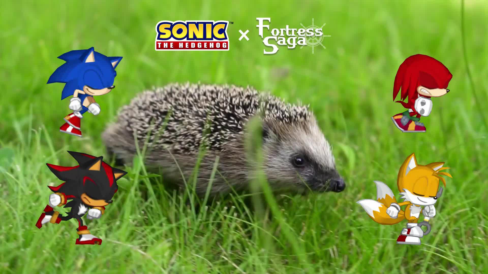 Get "Tales" free! Speed into Action with Sonic! Fortress Saga X SONIC Ultimate Collaboration!