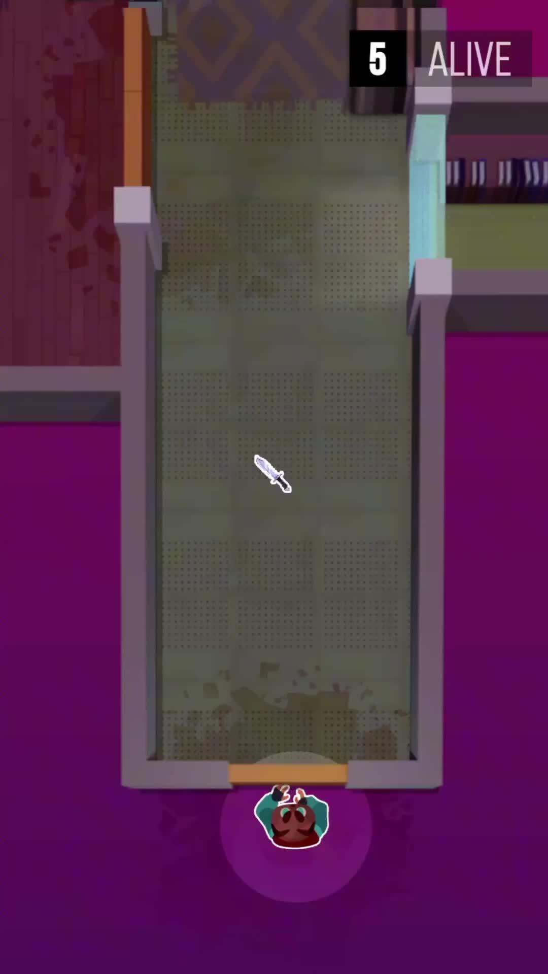 Stealth Battle Royale Arena