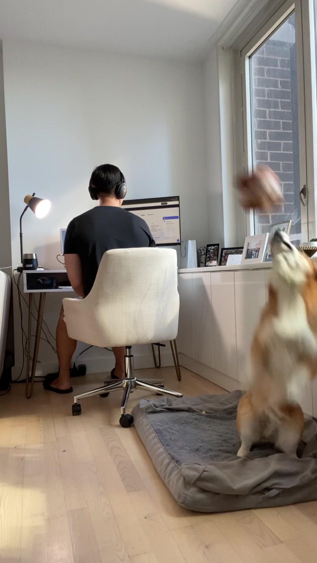 Dad really thought he would get away with taking Dash’s phone 😏 if you love Monopoly Go just as much as Dash, make sure to check out their latest mini game, Sunset treasures, happening now until March 21st! Just make sure to put away your toys first 🙄 @monopolygo #monopolygo #sponsored