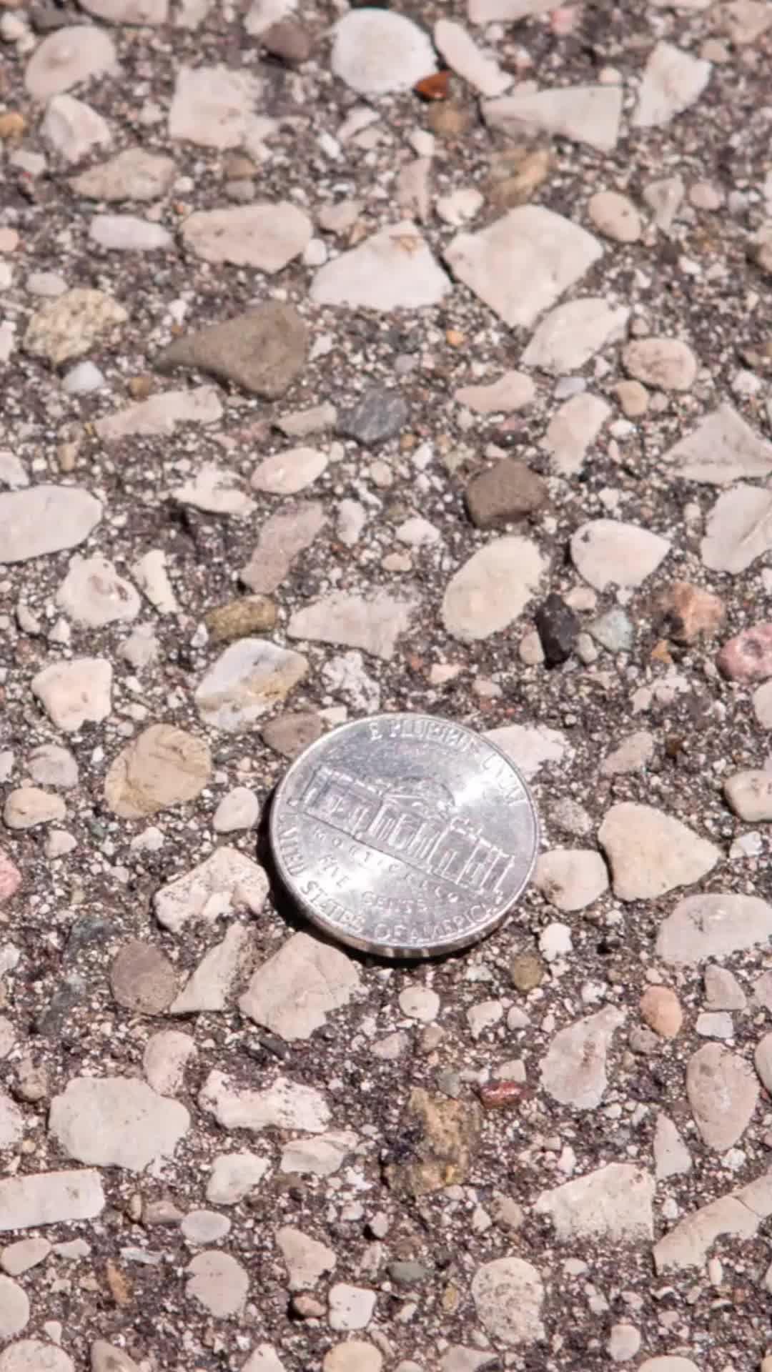 Check your coins with the help of artificial intelligence and find a rare one!