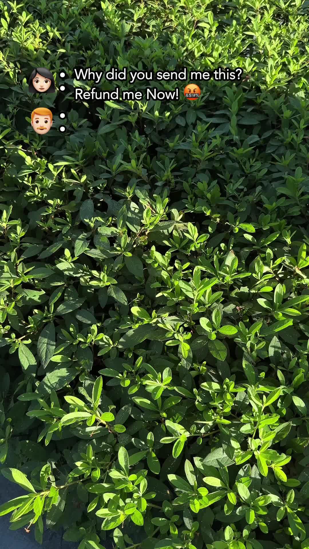 Pack with me !!😍 $0 Temu Haul!!! *Only for new app users with qualifying orders