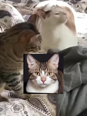 Stay in the loop without leaving your couch—because why move?