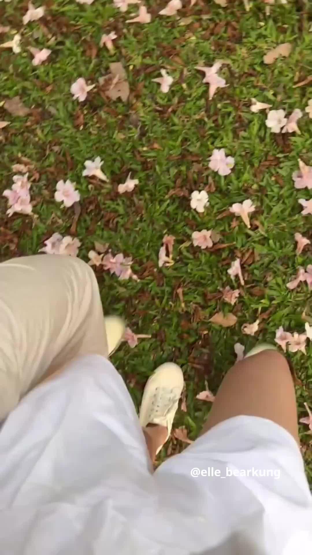 航空券値下がりアラート