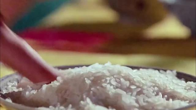 百鬼回魂夜，天師歸位時，立即下載