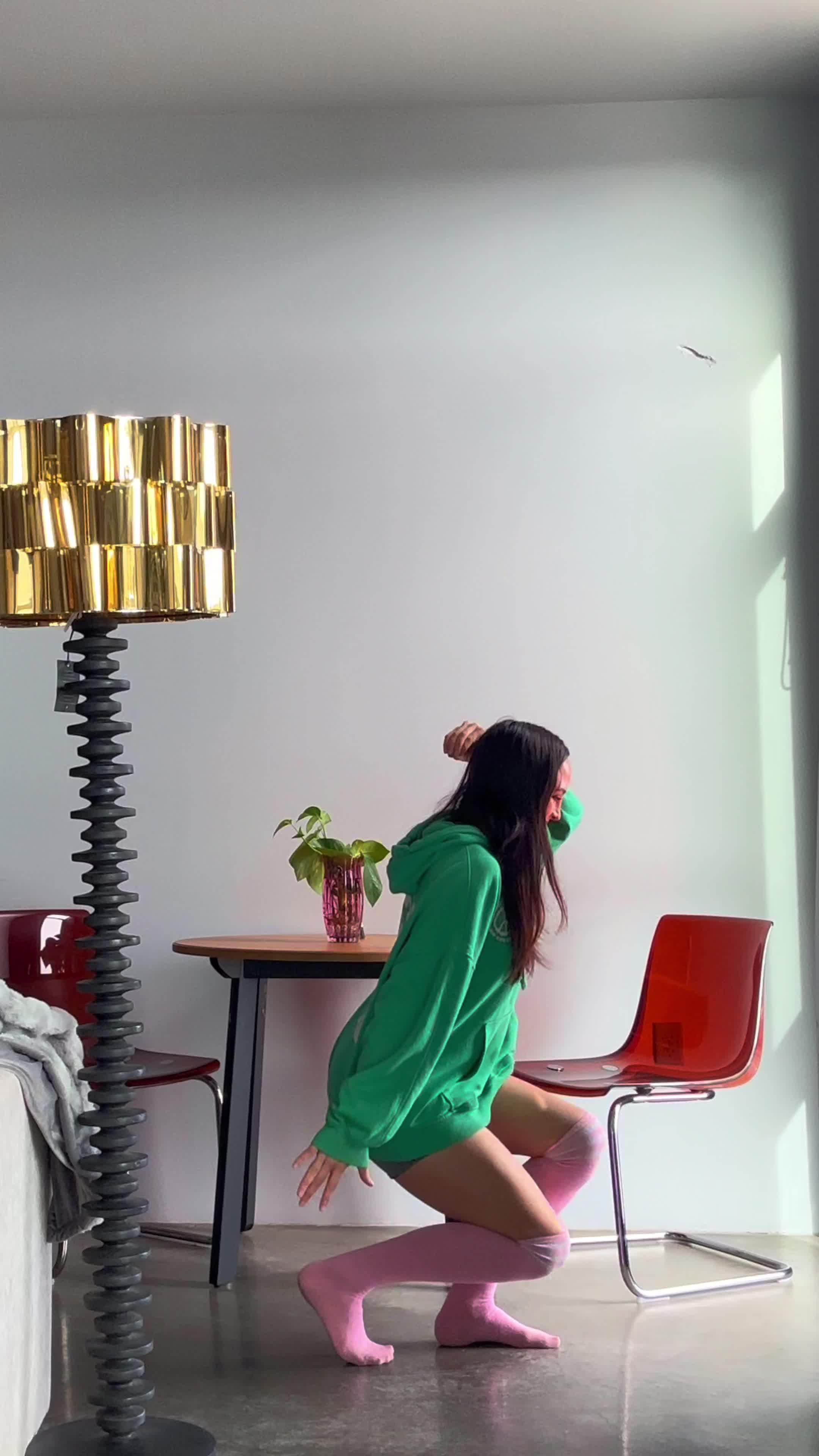 Start training your dog like a pro!