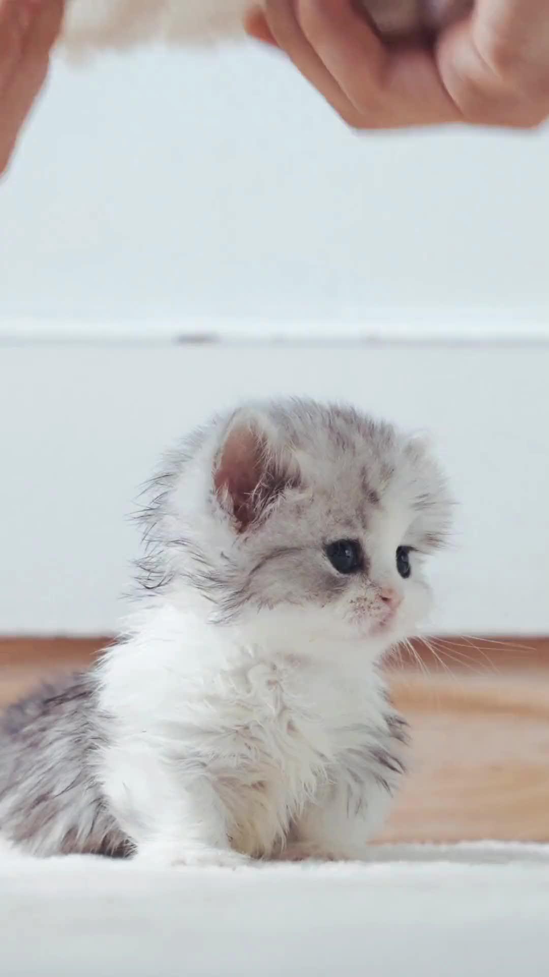 Make movie post for them