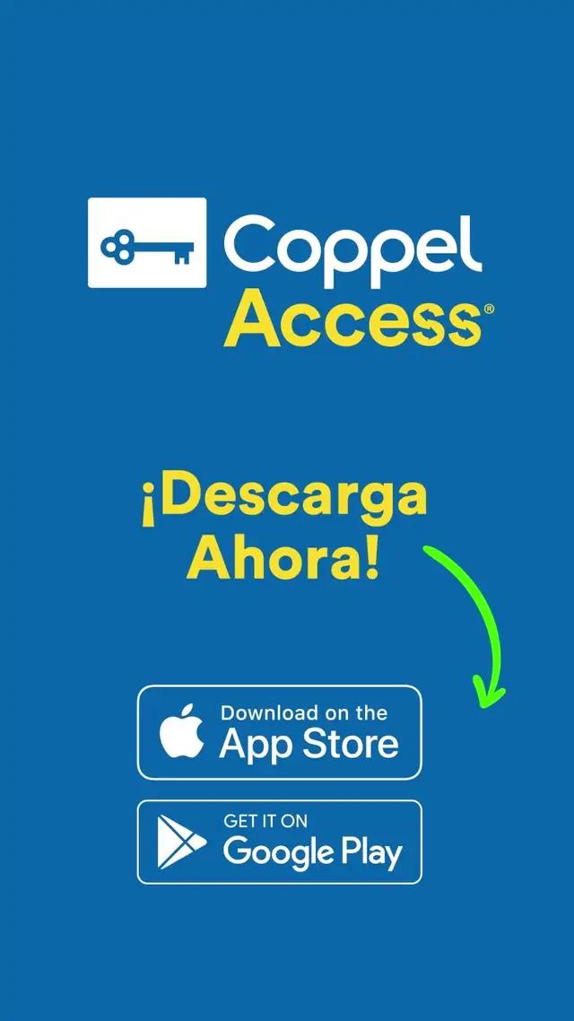 Haz 2 envíos sin comisiones a cuentas TechReo utilizando nuestro código promocional “TechReo23”.