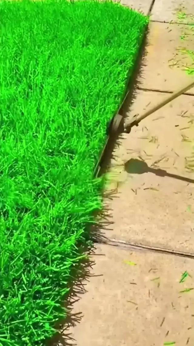 Become a guru of grass cutting