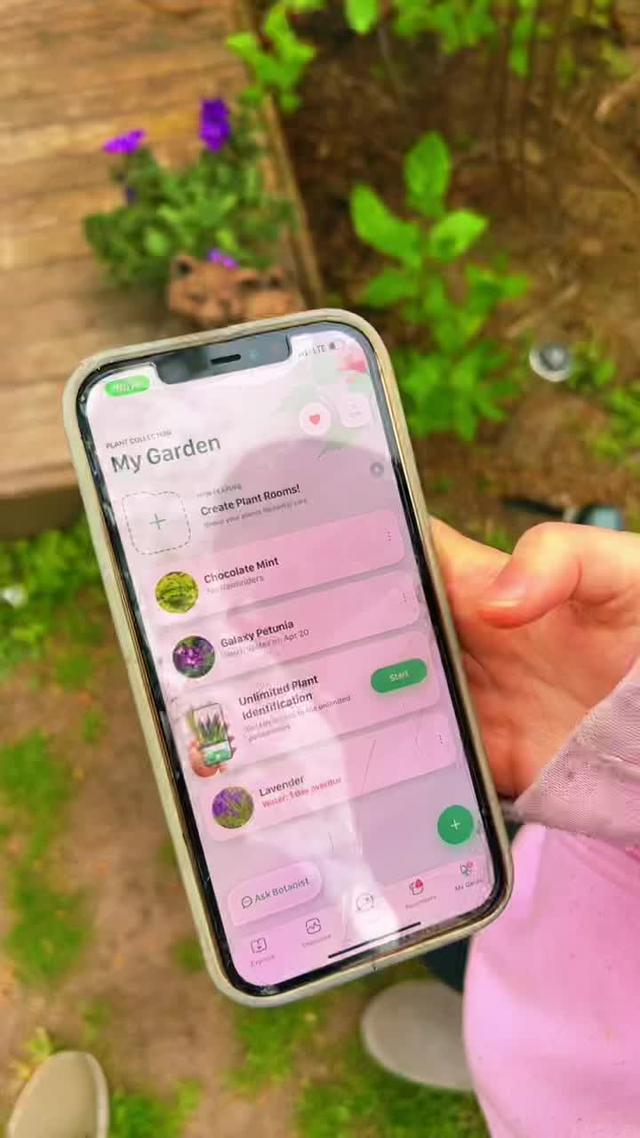 #blossom2022contest #blossom #flower #flowers #HPSustainableSounds  #fyp #fy @blossom_app