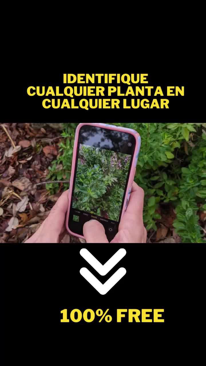 Download this application for free!