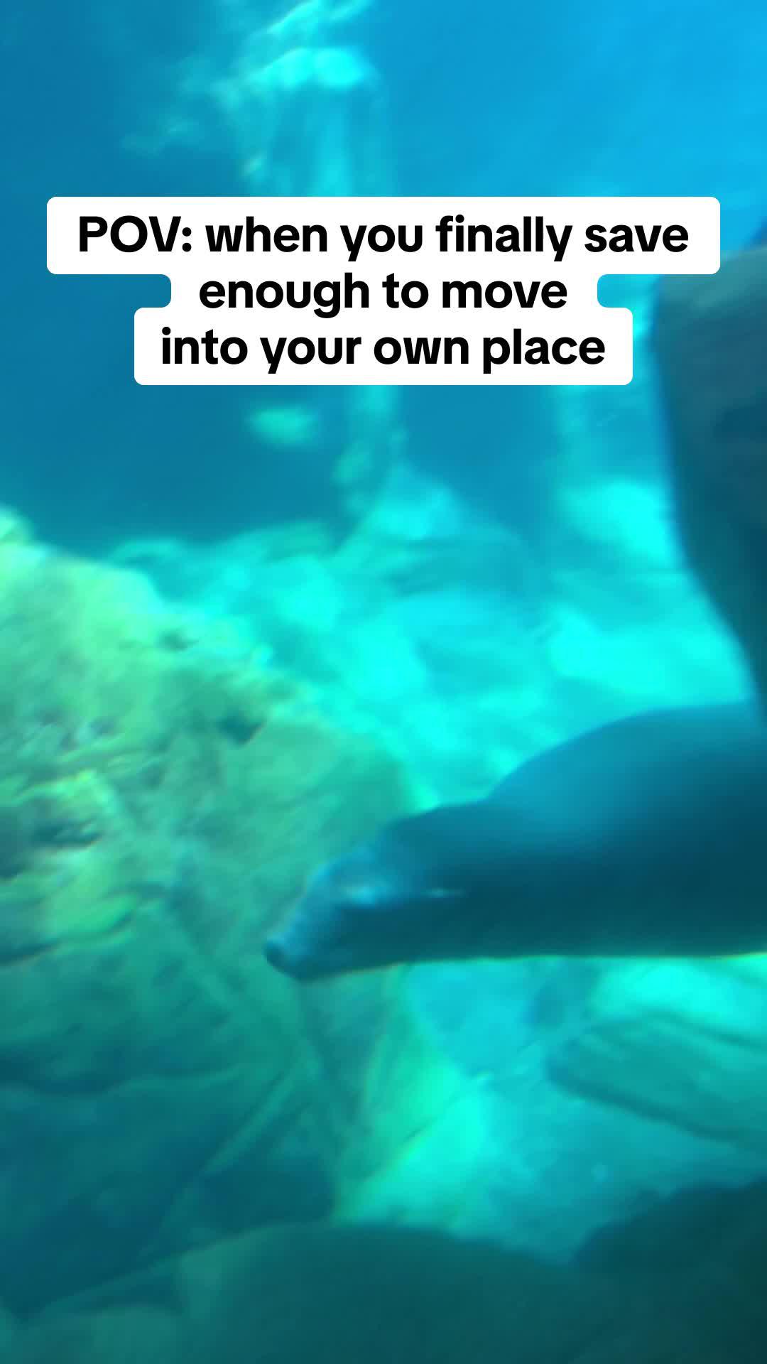 Over $5 billion budgeted by our members