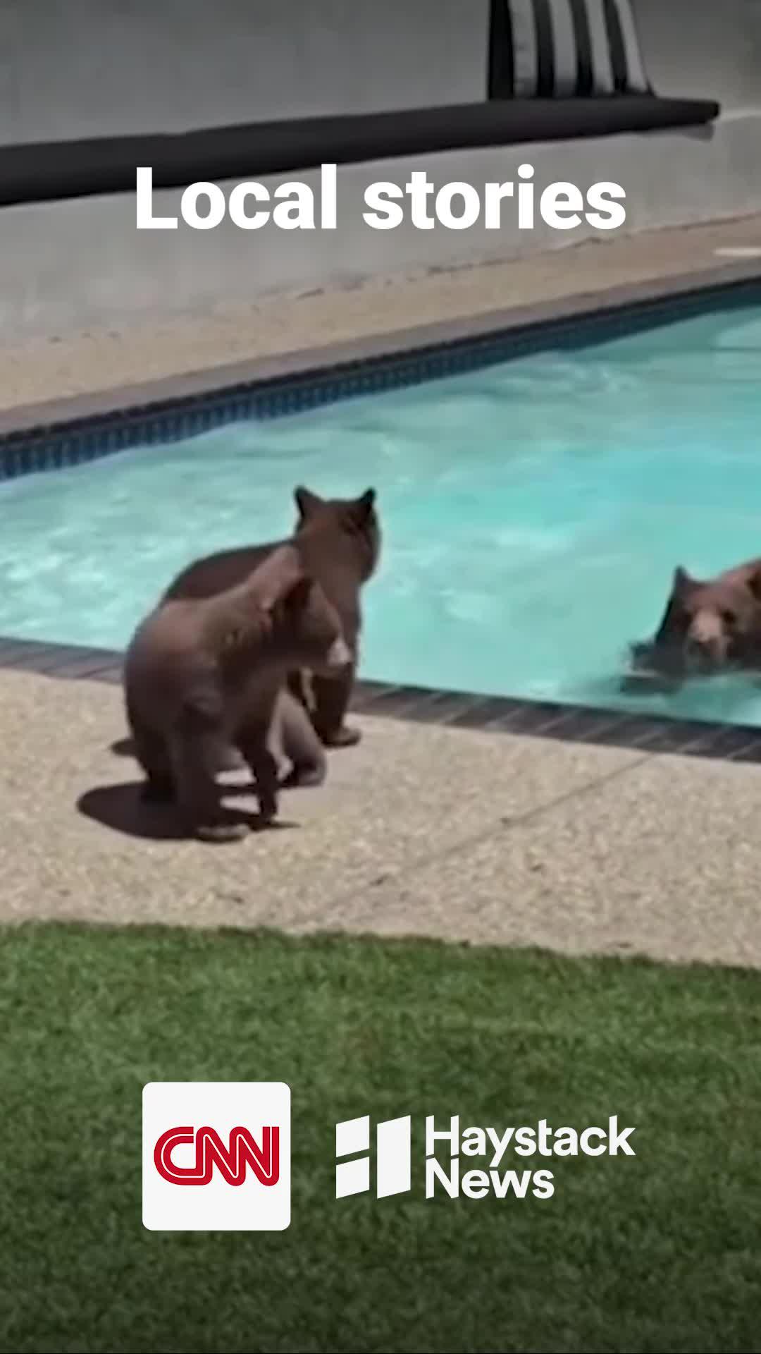 Watch daily news catered to your interests for absolutely free.