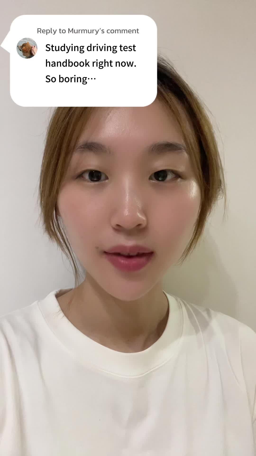 Ace your permit test and master behind-the-wheel training now!