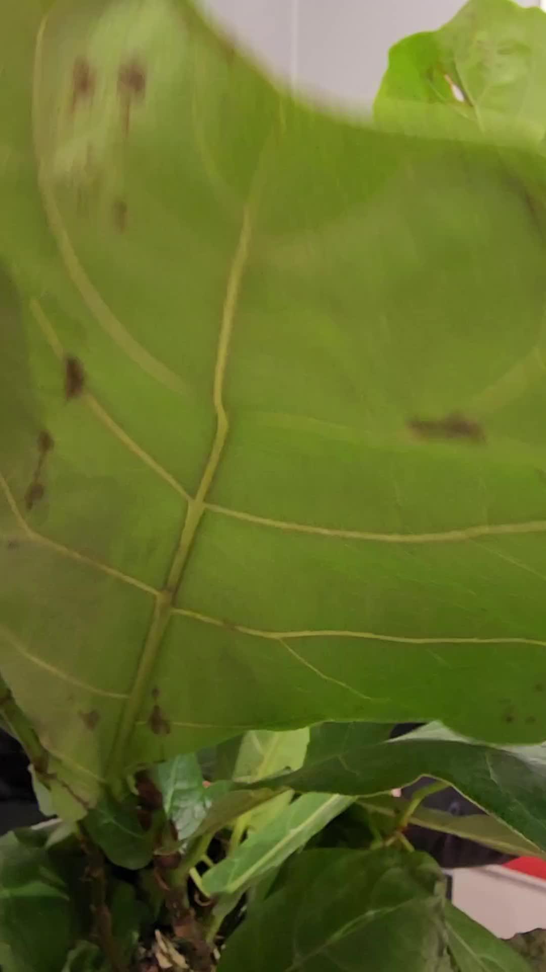 Be the first to know with real-time notifications—stay informed and safe!