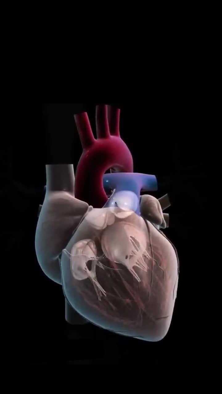 Easily check your heart rate with Heart Rate!