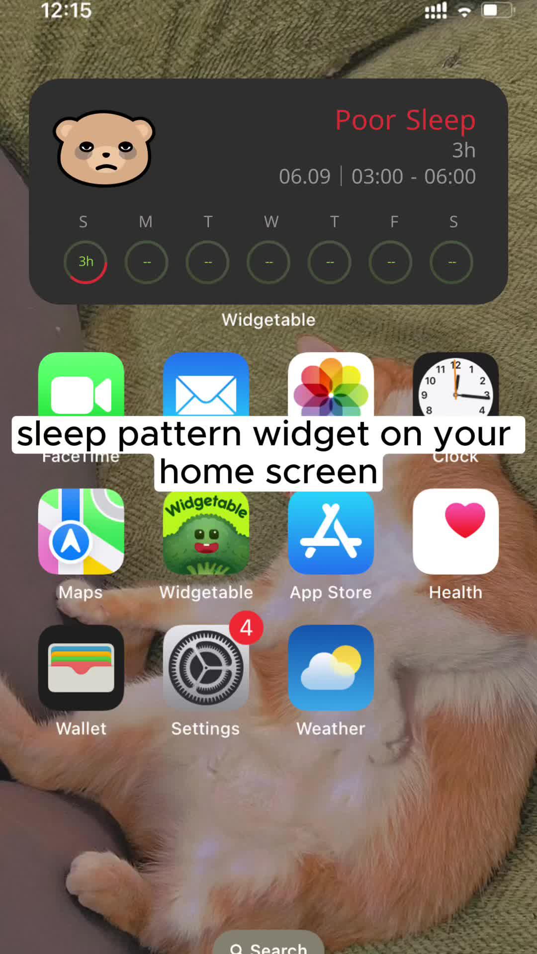 sleep pattern widget