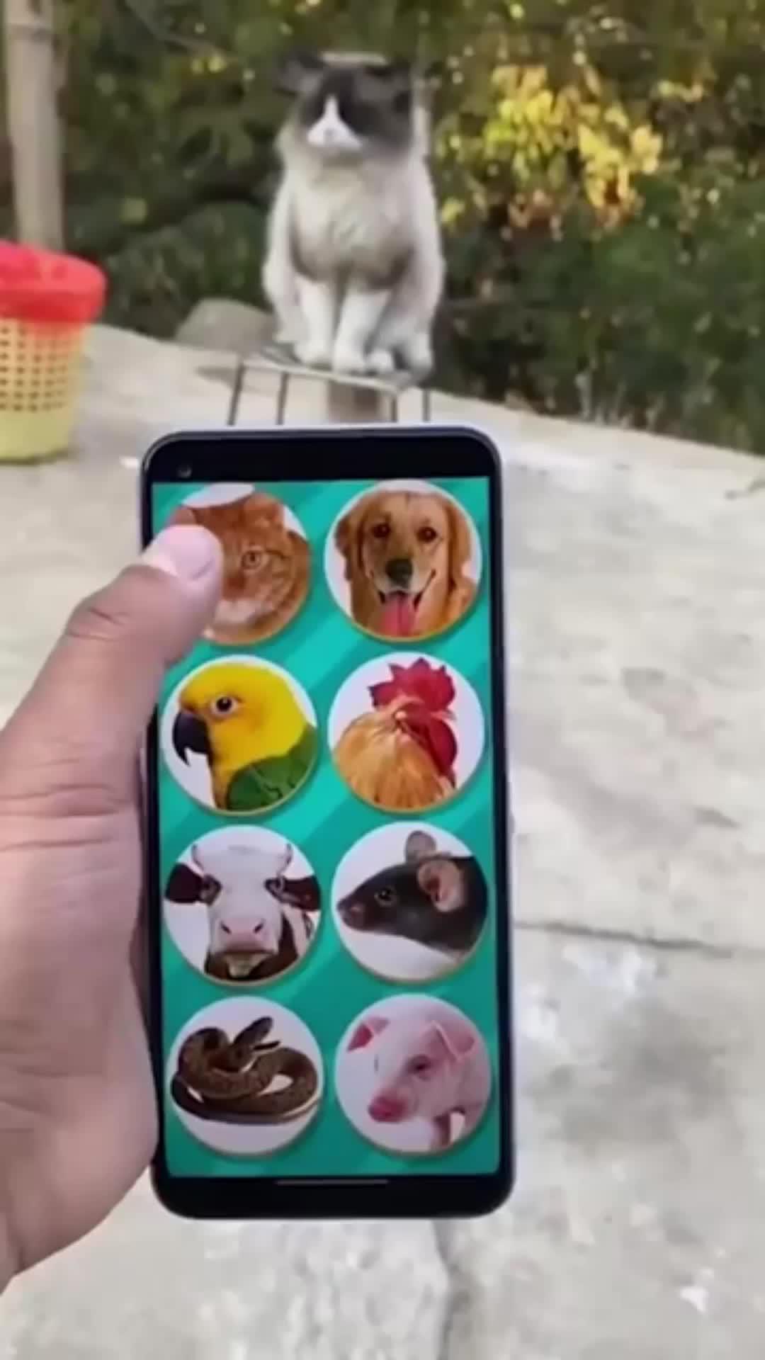 Prank with your Voice changer!!!!