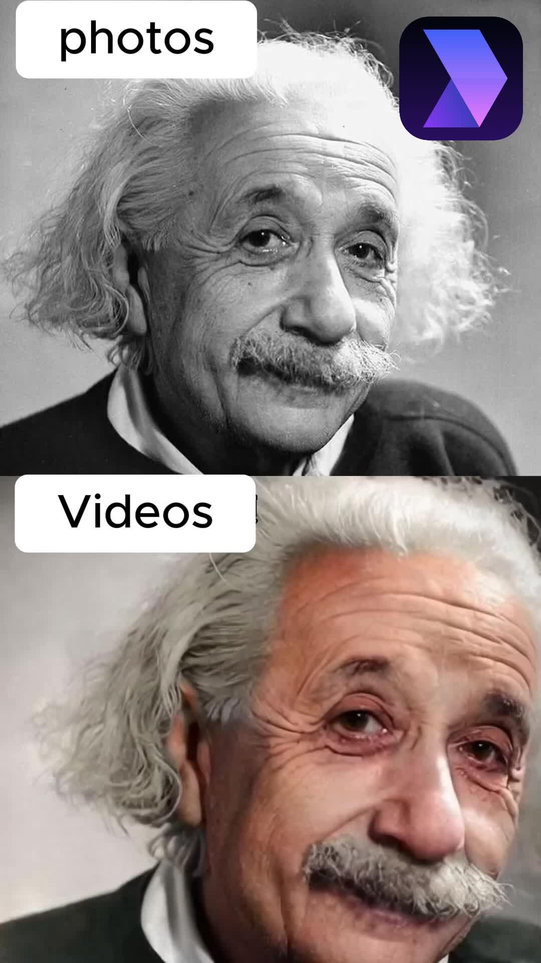 Bring Photos to Life with Luma!