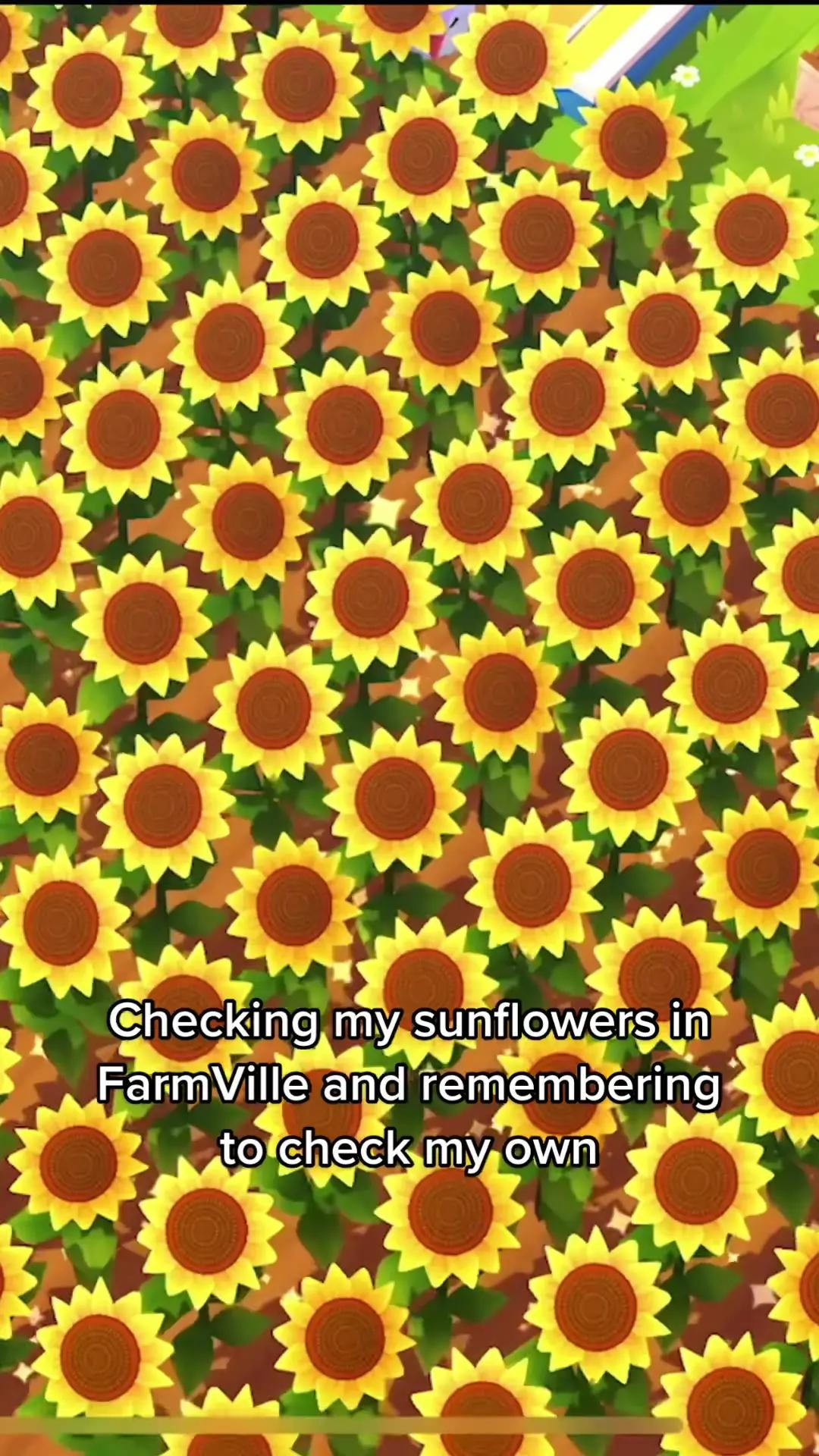 Have fun growing sunflowers in FarmVille 3!