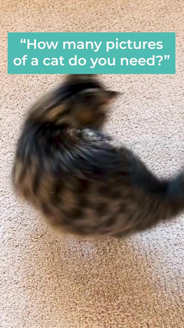 Don't lose the photos on your phone. Print them for free! 10 4x6 prints + shipping with first order