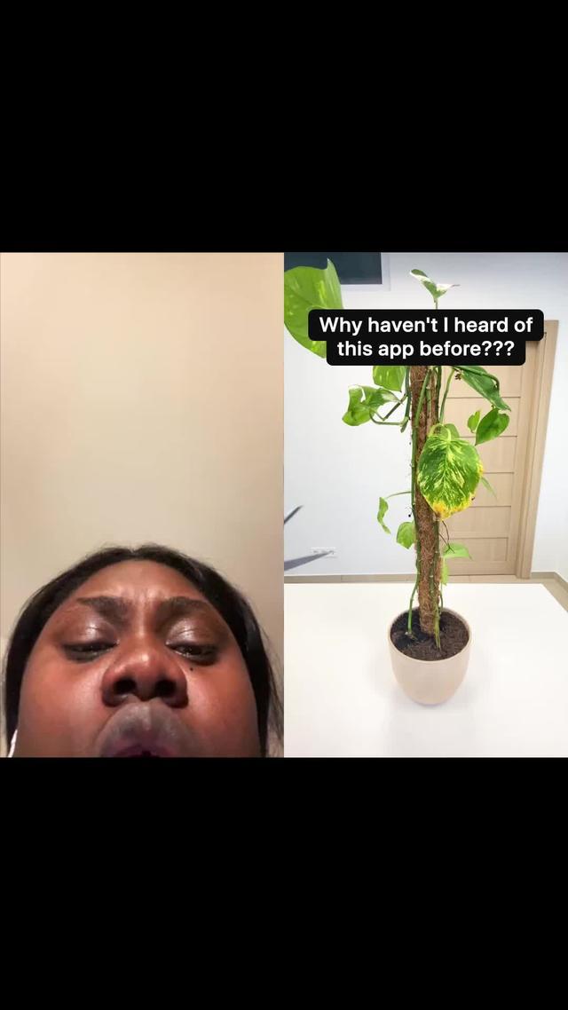 Take Care Of Your Plants Now!