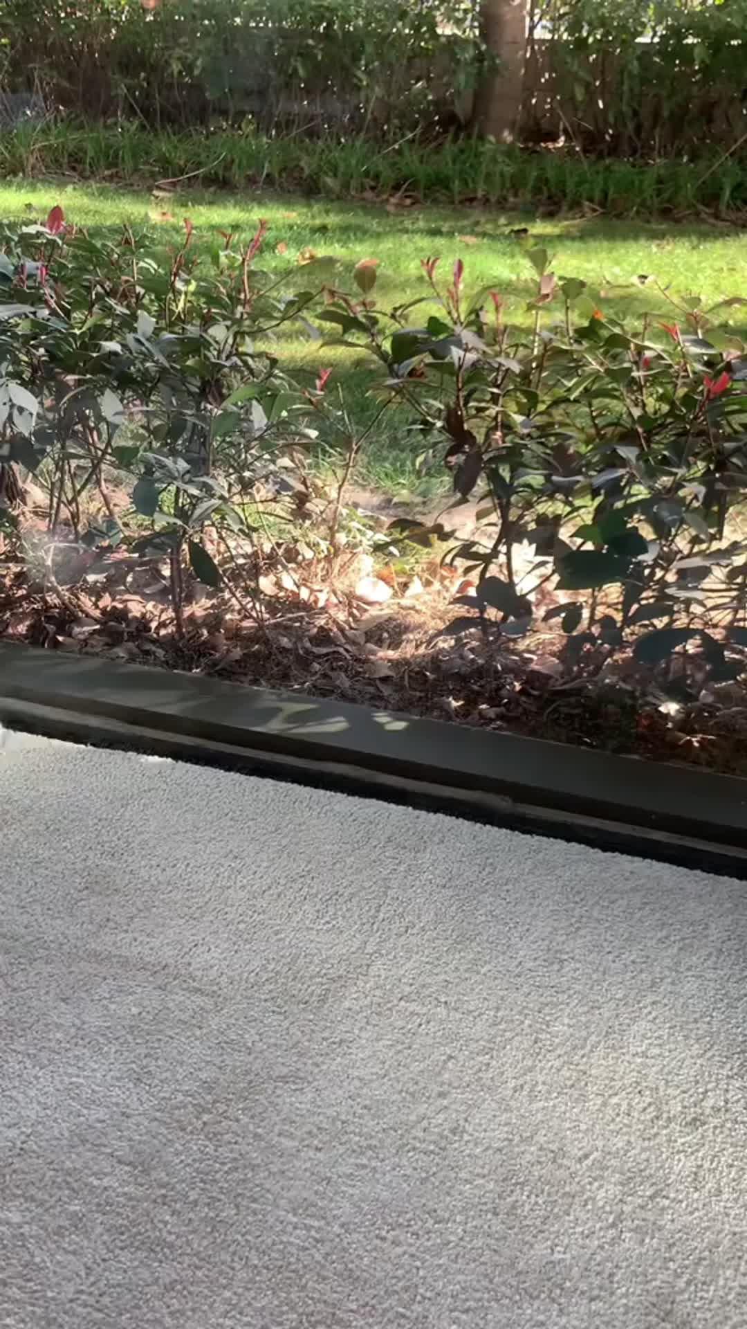 UP TO 68% OFF! DON‘T MISS OUT OUR BIG SALE!