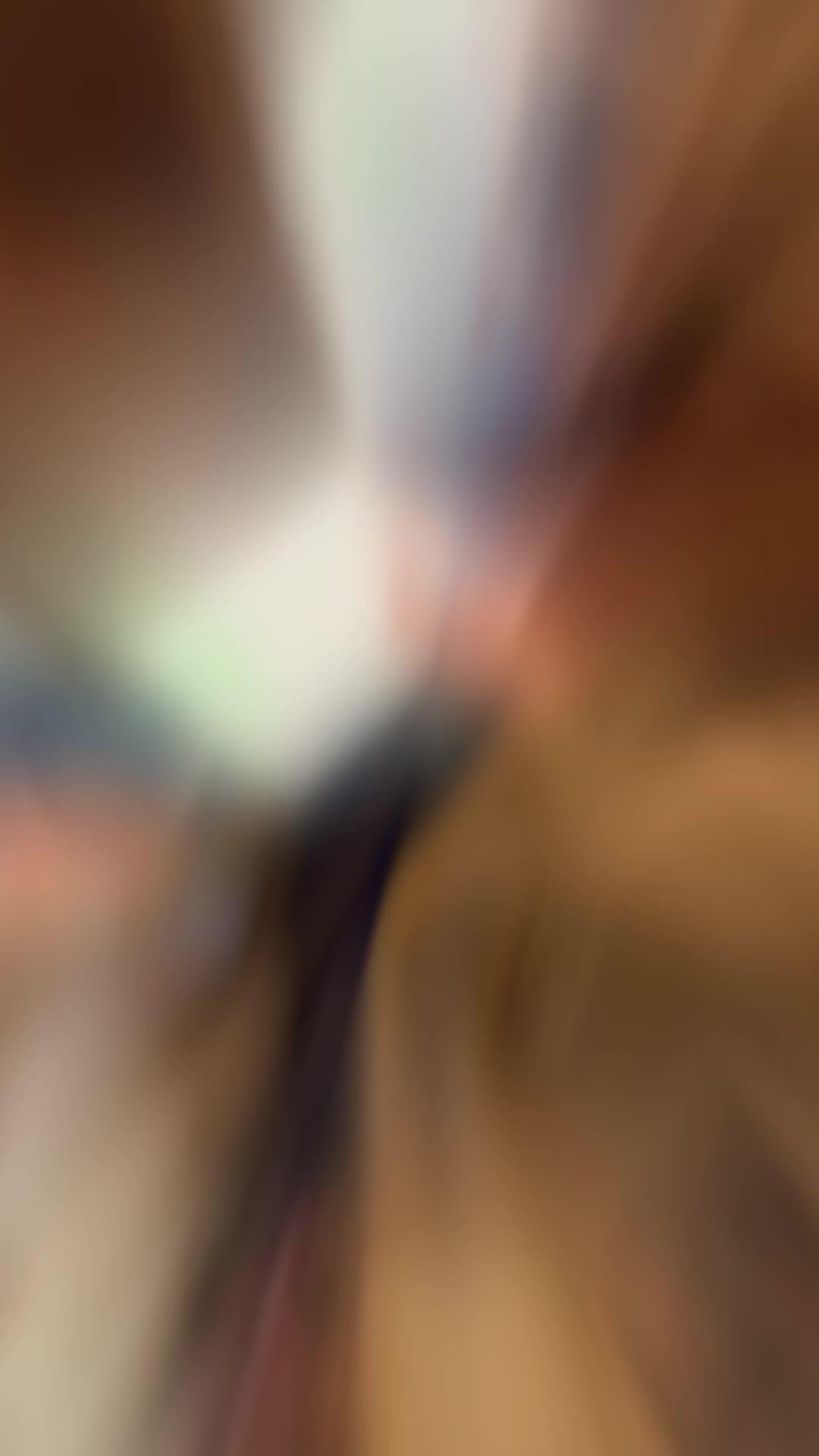 Download Football Head Coach 24 now!