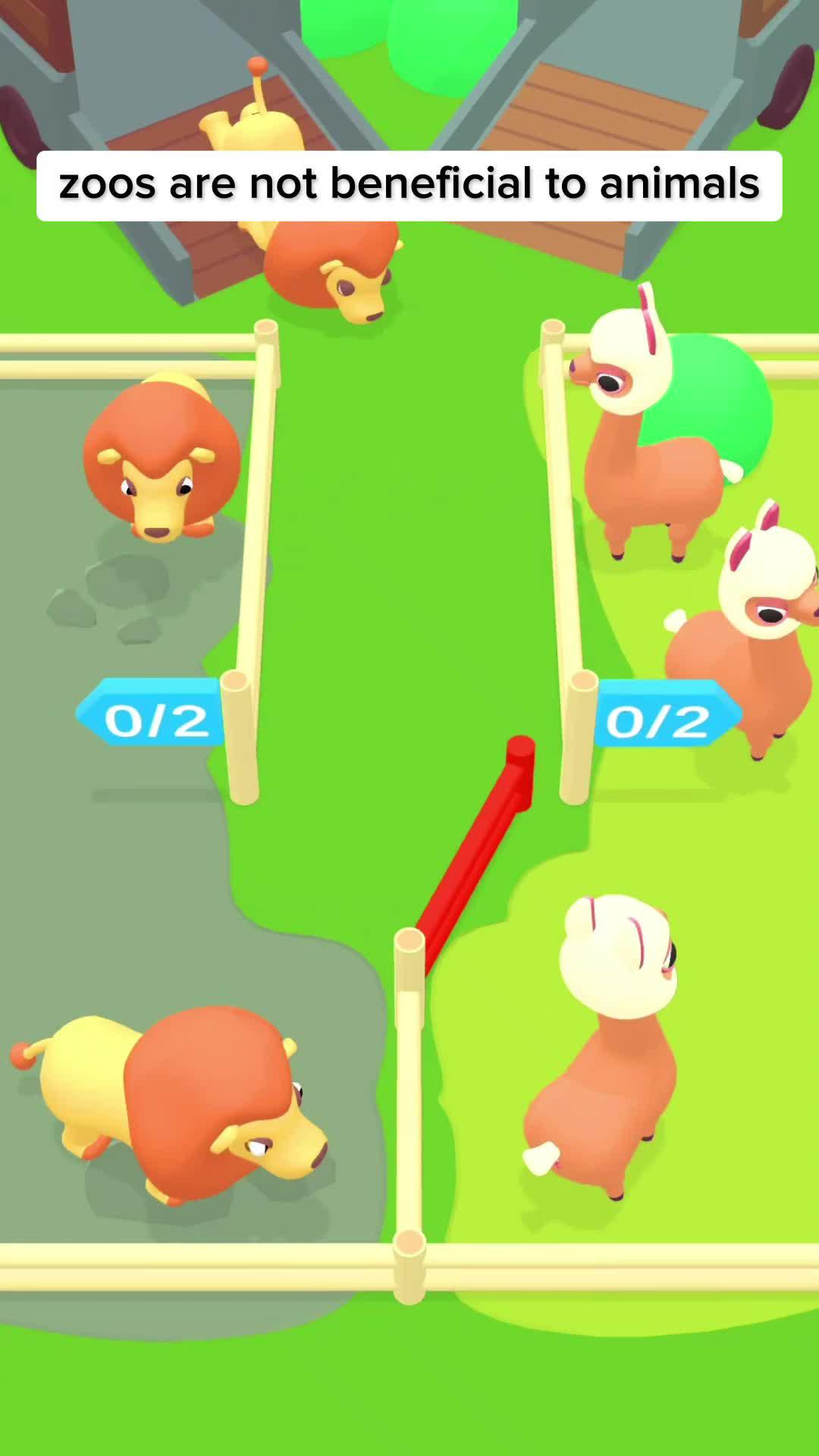 Puzzles & super-cute animals!