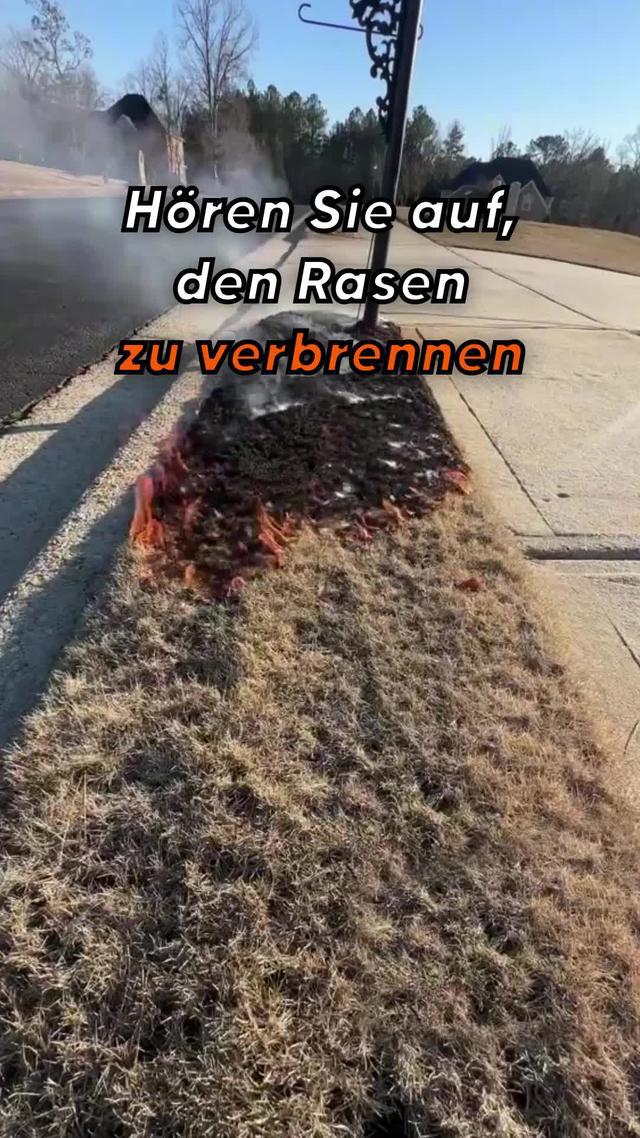 Lass deinen Garten in diesem Frühling blühen! Nutze PlantIn kostenlos!