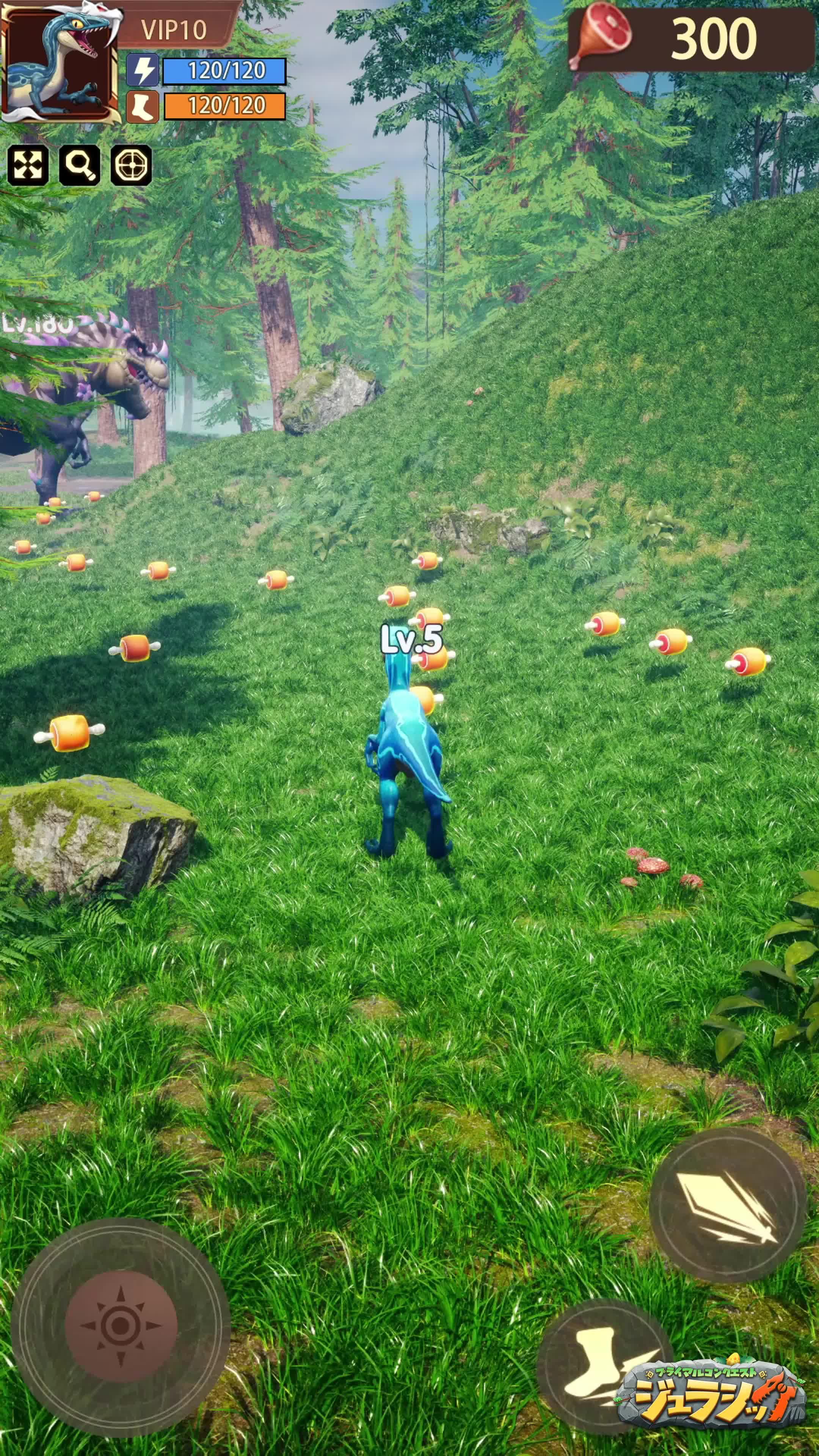 ギフトコードDNIO888を入力し、大量のダイヤとコインを受け取りましょう！