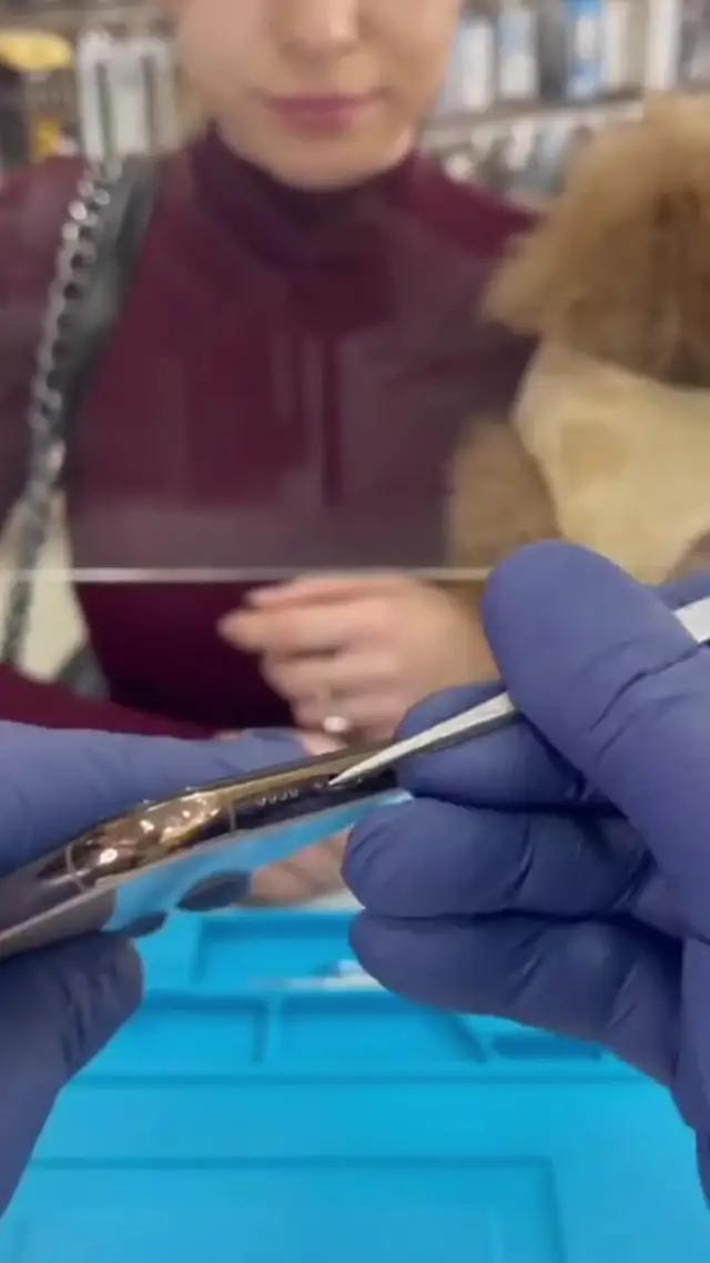 تحسين تخزين هاتفك