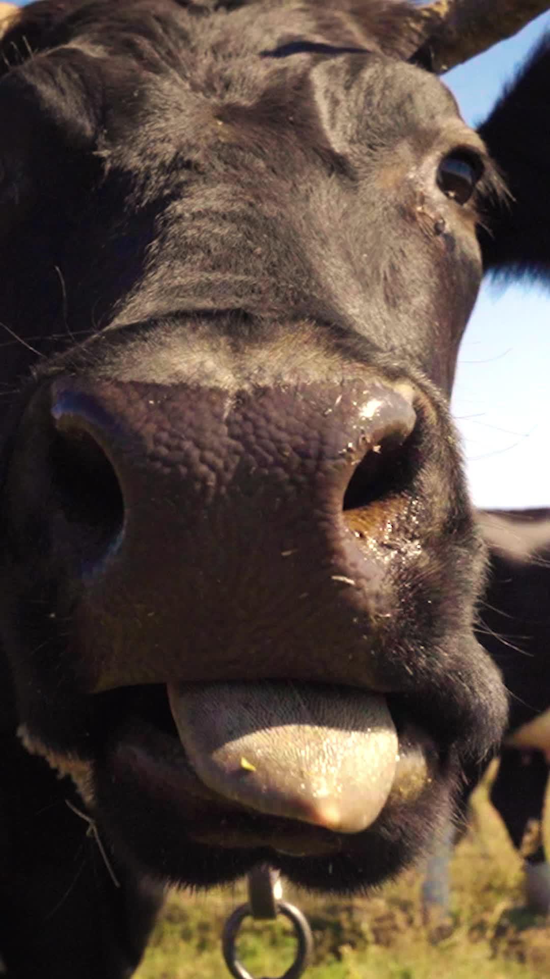 Vem que tem ofertas com 50% OFF pra te deixar com água na boca!