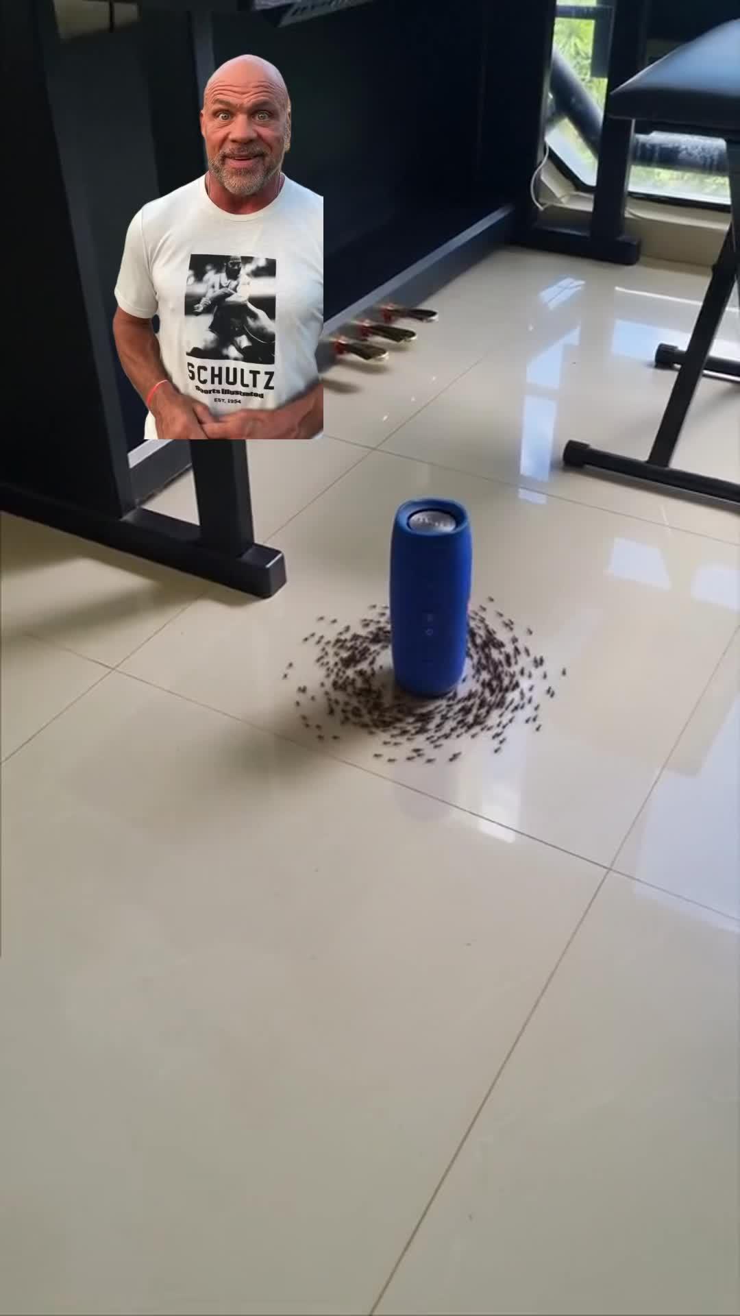Ants are really cool creatures!!