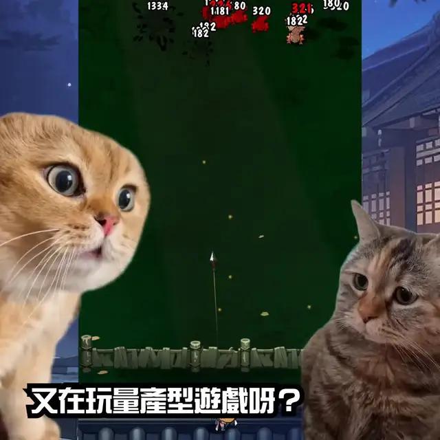 忍者喵喵！貓忍者！喵喵忍者！和可愛的貓忍者一起冒險的防禦 RPG