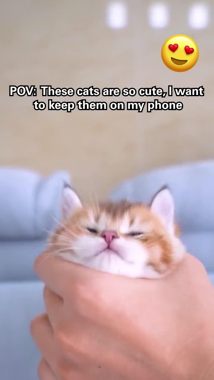Having a pet on your home screen be like..