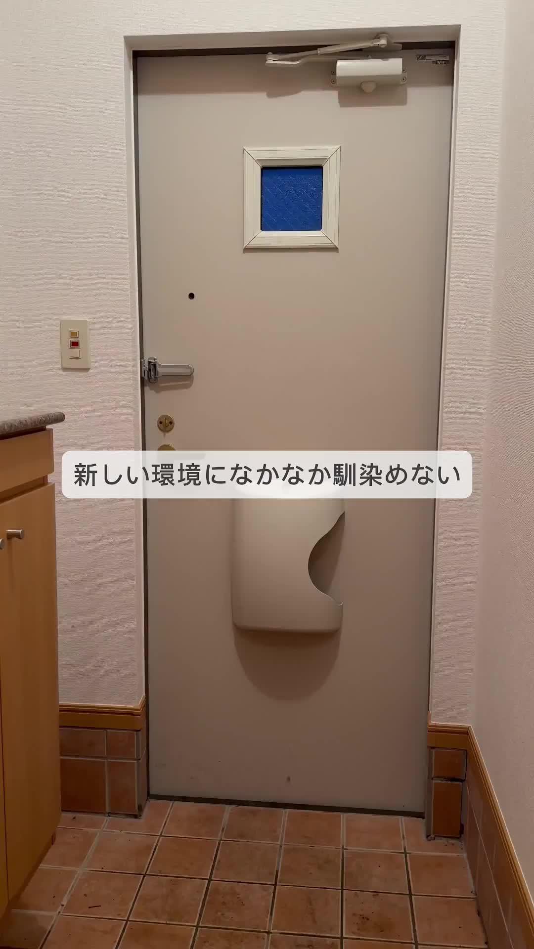 自由に日常をシェアしよう。